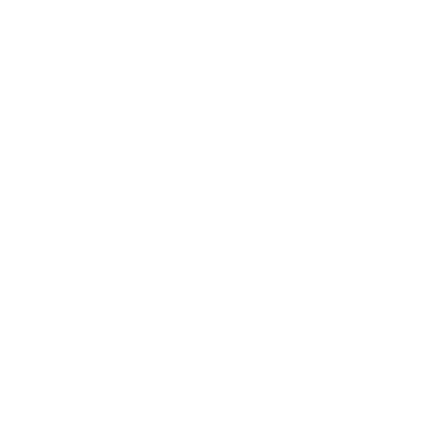 SSIP Assessed Member